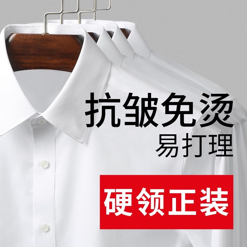 祁特男士衬衫翻领常规袖