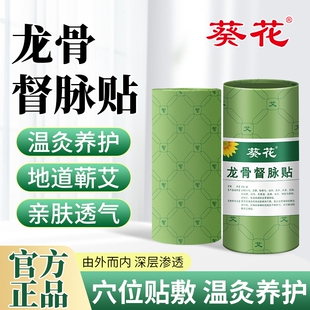 葵花龙骨督脉艾灸贴气虚易乏腰膝艾草通络贴热敷背部穴位草本膏药