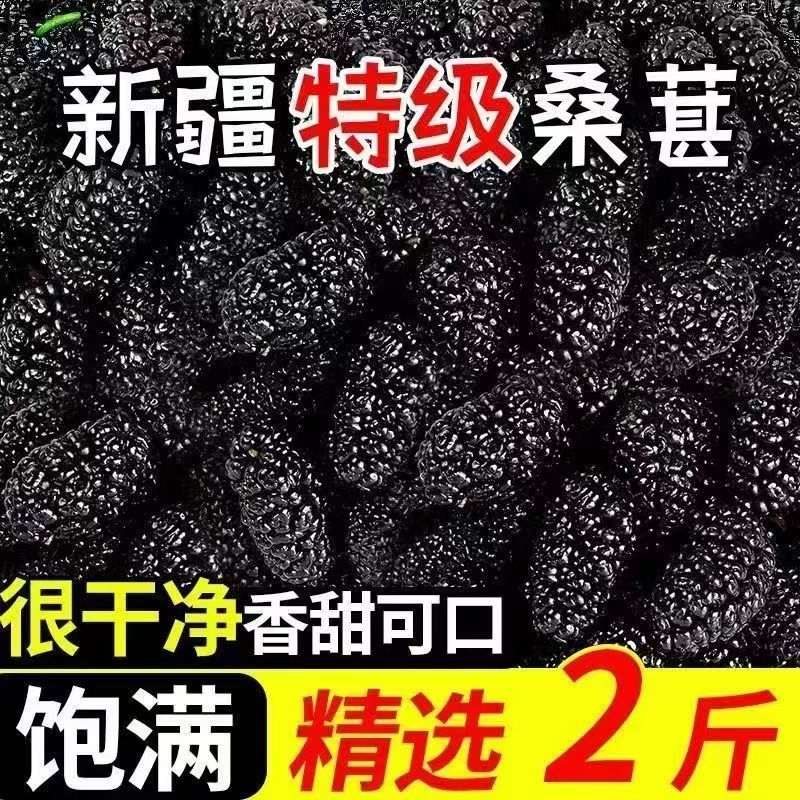 新货新疆野生黑桑葚免洗无沙桑桑葚干特级直泡茶泡水泡酒养生烘焙