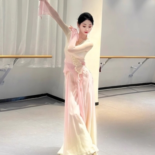 表演服 套装 古典舞蹈服装 飘逸身韵纱衣练功服女夏中国舞演出服裙裤