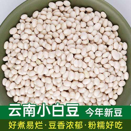 新货云南珍珠豆小白豆5斤农家小白芸豆炖肉豆类杂粮散装自种有机