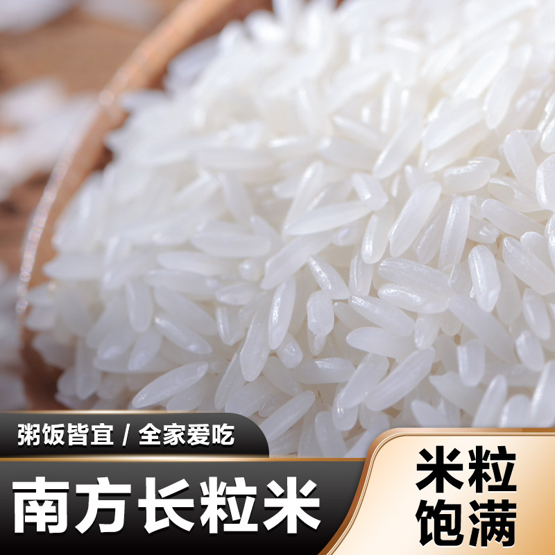 优惠正宗猫牙香米真空独立包装长粒香优质大米当季新米1斤多规格