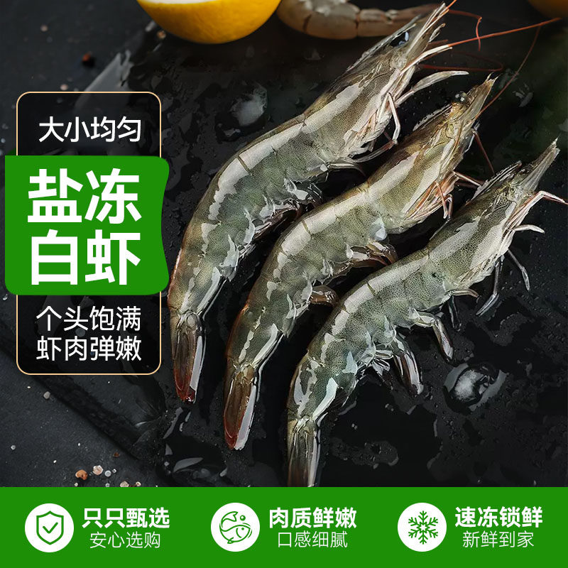 鲜活速冻大虾盐冻白虾冷冻青虾基围虾速冻海鲜水产海虾鲜活冷冻