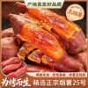 正宗山东糖心烟薯25号蜜薯净重中大果5斤