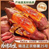 正宗山东糖心烟薯25号蜜薯净重中大果5斤