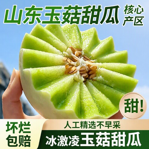 山东玉菇甜瓜冰淇淋口感新鲜水果软糯应当季时令品蜜瓜包邮批发