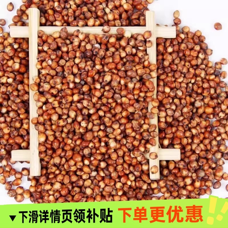 酿酒专用红高粱红缨子东北糯高粱农家自产食用鸽粮杂粮饲料粗粮