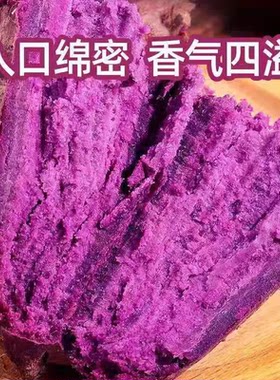 新鲜山东甜紫薯生鲜蔬菜减肥减脂食材京东粗粮糖水沙地番薯紫心
