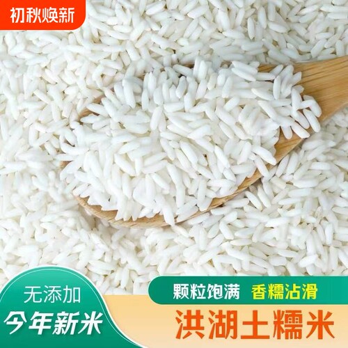 长糯米长粒糯米新糯米包粽子糍粑大米汤圆酿酒杂粮泰东北饭团当季
