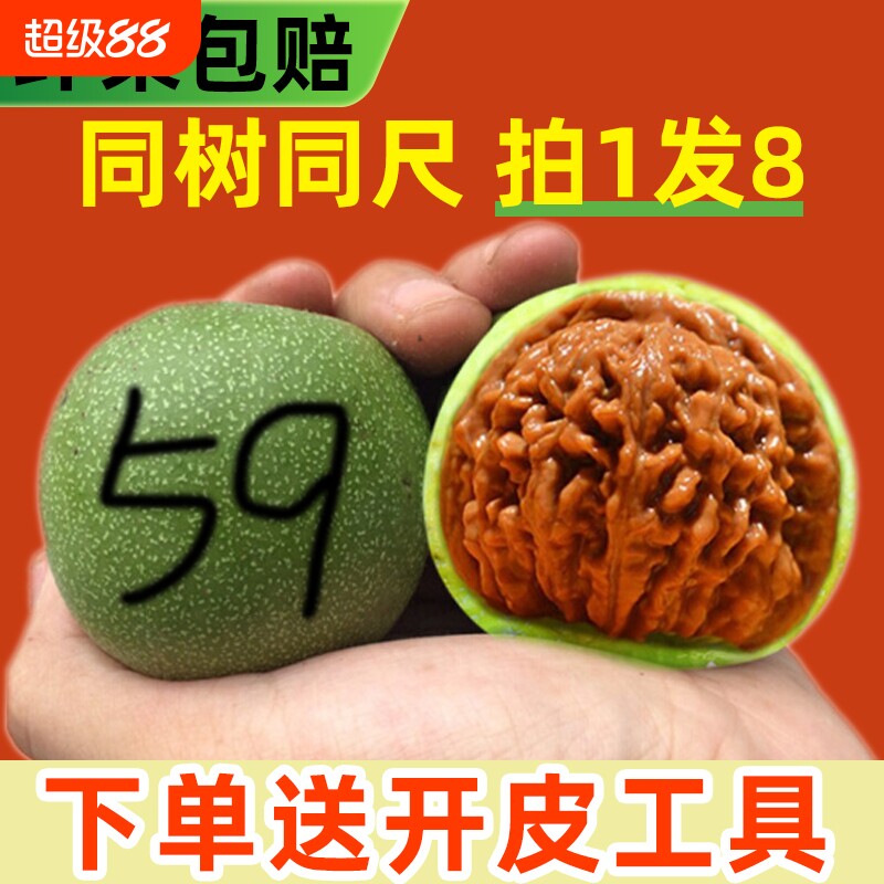 核桃文玩赌青皮盘玩四座楼狮子头磨盘麒麟官帽老树手工大尺寸野生