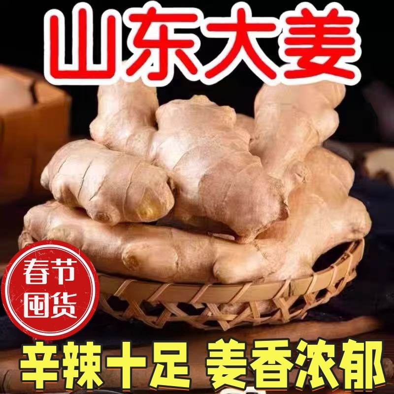 山东大姜老姜生姜3斤/5斤/9斤现挖新鲜大块姜月子姜批发自提红糖