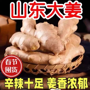 山东大姜老姜生姜3斤/5斤/9斤现挖新鲜大块姜老黄姜月子姜批发