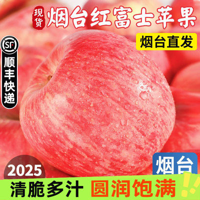 正宗山东烟台红富士新鲜水果苹果当季脆甜应季时令水果产地直发