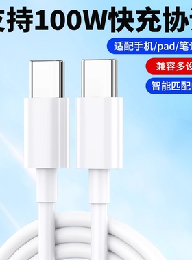 驯龙师 100W双头type-c数据线双向tpyec双pd快充ctoc适用小米华为荣耀tpc车载充电线器笔记本电脑typc公对公