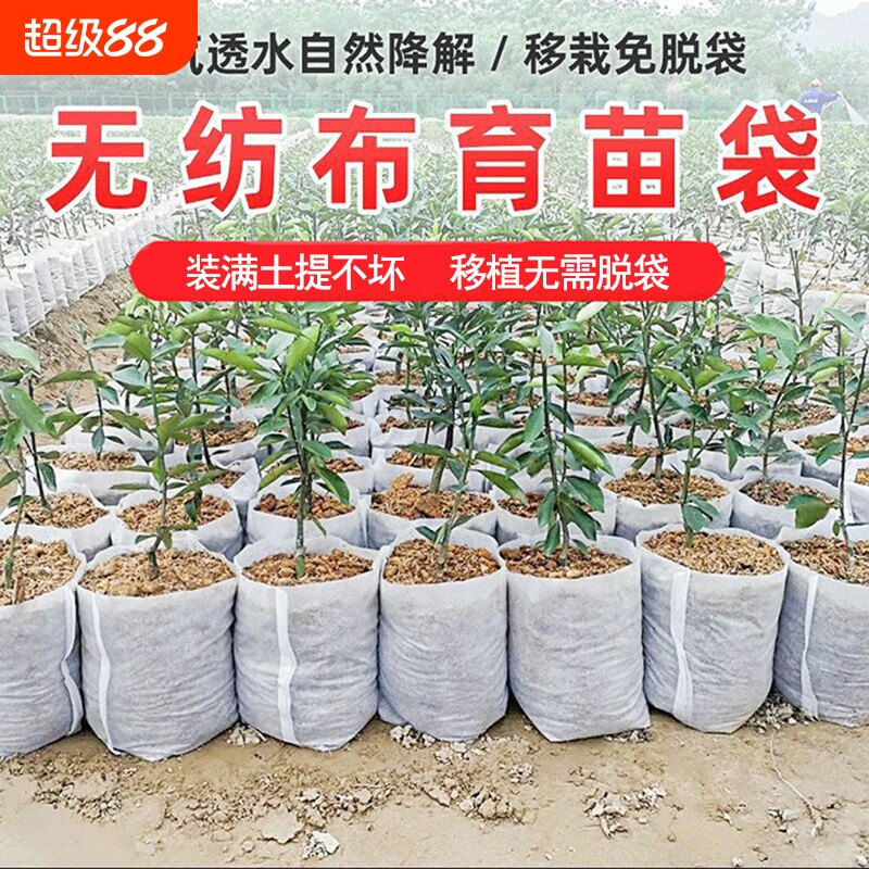 无纺布植树袋结实耐用图片