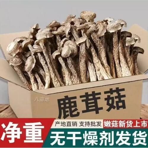 手工精选原色原香产地鹿茸菇