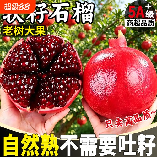 2026突尼斯软籽石榴水果新鲜整箱当季红宝石会理中秋礼品盒装
