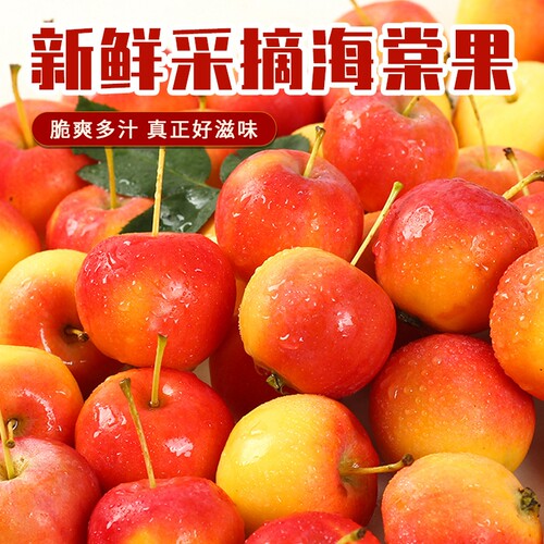 东北秋红海棠果小苹果沙果酸甜