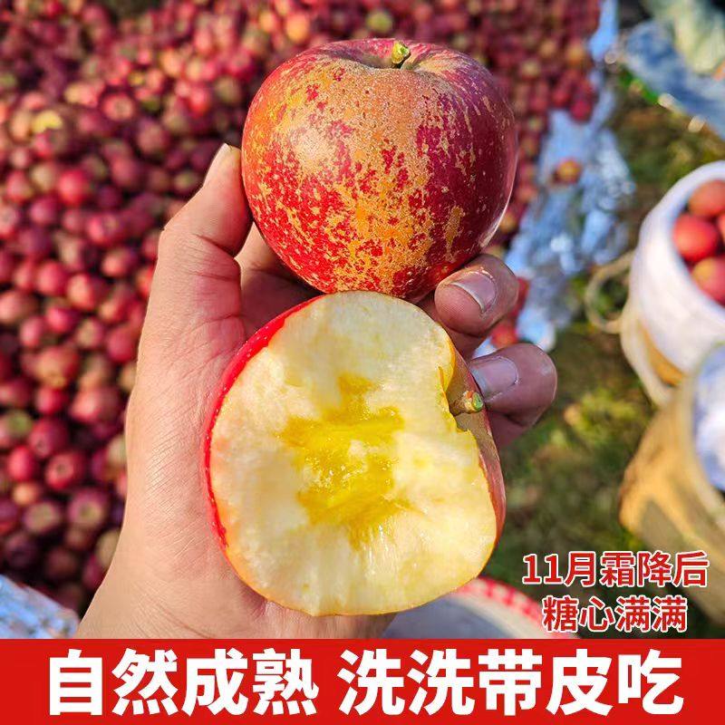 【当季新鲜】正宗云南昭通丑苹果糖心苹果孕妇水果时令脆甜整箱,水产肉类/新鲜蔬果/熟食,苹果,淘宝优惠券,粉丝福利购,淘宝优惠卷