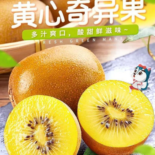 西峡黄心猕猴桃新鲜应季孕妇水果黄肉弥猴桃当季整箱黄金奇异果