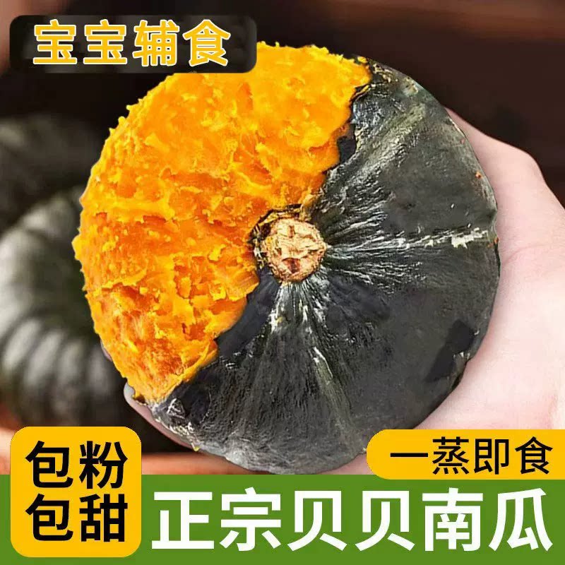 正宗当季贝贝南瓜板栗味新鲜精品南瓜宝宝辅食粉糯整箱包邮早餐