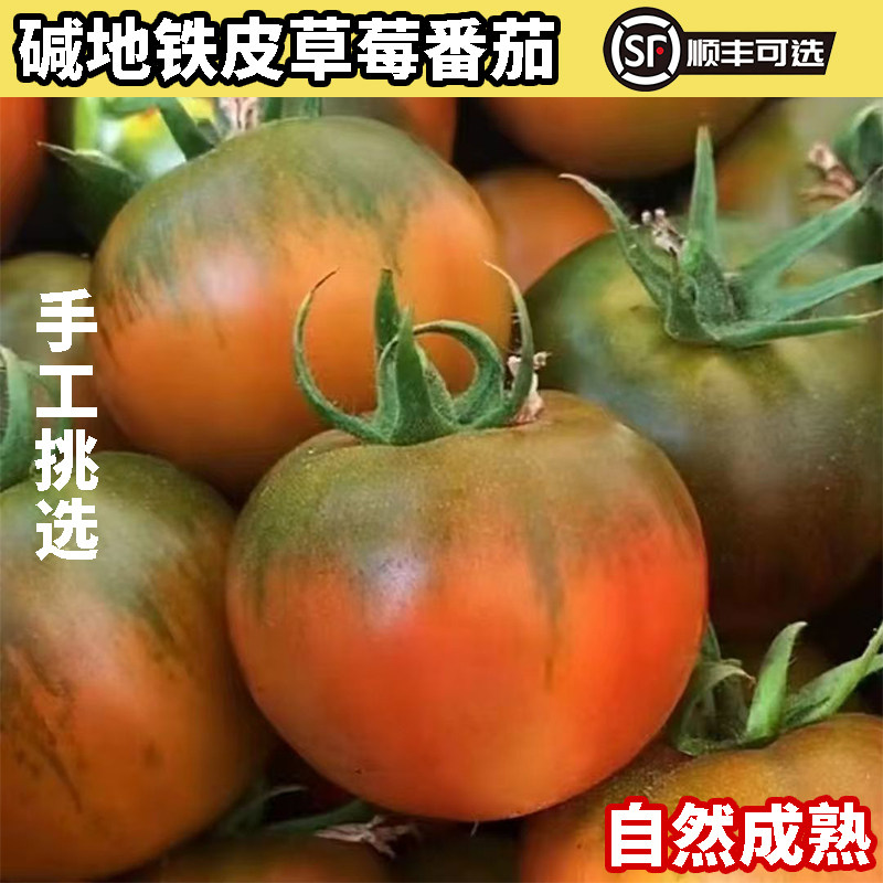 东北碱地草莓番茄铁皮西红柿可生吃柿子水果番茄蔬菜自然成熟顺丰,水产肉类/新鲜蔬果/熟食,番茄,淘宝优惠券,粉丝福利购,淘宝优惠卷