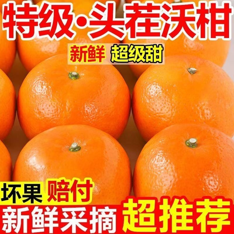 爆甜云南沃柑5斤桔子新鲜水果当季一级孕妇水果当季柑甜大果包邮,水产肉类/新鲜蔬果/熟食,桔子,淘宝优惠券,粉丝福利购,淘宝优惠卷