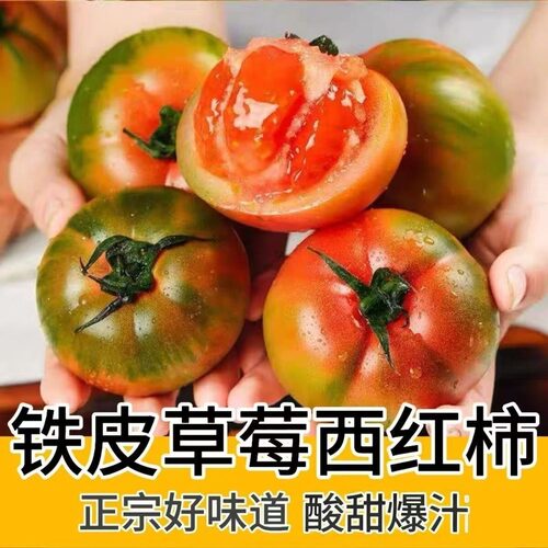 铁皮柿子草莓西红柿小时候味道