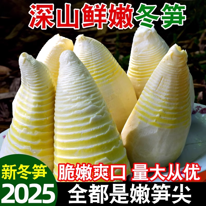 竹笋冬笋新鲜新鲜野生竹笋春笋清水笋楠竹笋蔬菜火锅商用批发