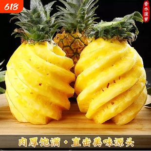 正宗中山神湾菠萝送刀包邮当季现摘胜小菠萝海南香水