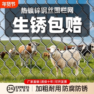 电焊鸟笼菱形围护栏网钢筋刺绳猪栏羊圈勾花网围栏养殖笼镀锌铁丝