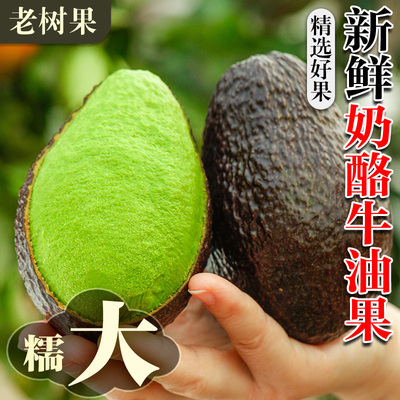 秘鲁进口牛油果15个大果新鲜水果当季整箱包邮一级鳄梨哈斯奶油