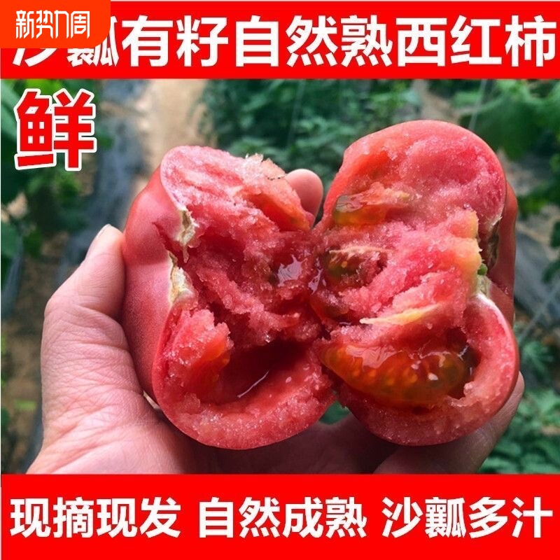 正宗沙瓤西红柿水果普罗旺斯番茄蔬菜现摘新鲜自然熟生吃粉果番茄