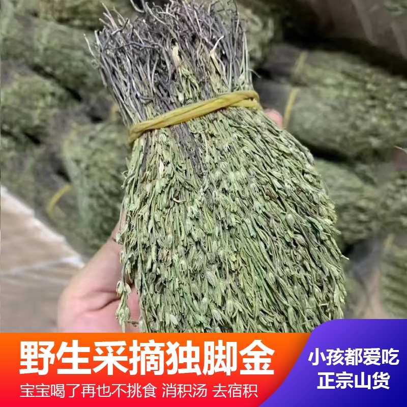独角金草药野生疳积草小孩儿广西新货新鲜晒干疳积草官方旗舰店