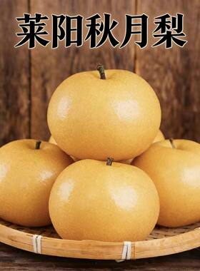 山东莱阳秋月梨高端礼盒皮薄无渣