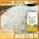 泰国香大米米2025年新米长粒茉莉香米10斤丝苗米籼米米饭软糯原粮