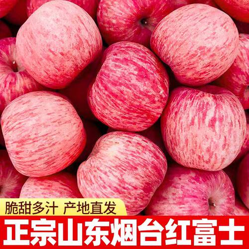 产地直发山东烟台大苹果苹果当季新鲜水果应季栖霞冰糖心脆甜大果