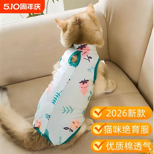 猫咪绝育服宠物衣服母猫公猫手术服断奶防掉毛术后防舔毛猫咪衣服
