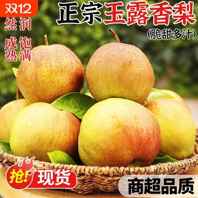 正宗山西玉露香梨5/10斤梨子新鲜水果皮薄香甜当季整箱香酥梨雪梨