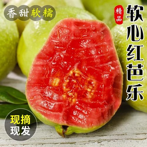 红心芭乐番石榴软糯香甜