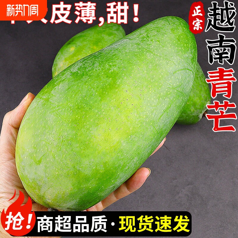 新鲜大青芒生吃芒果现摘现发新鲜水果大青芒果生吃酸脆包邮整箱