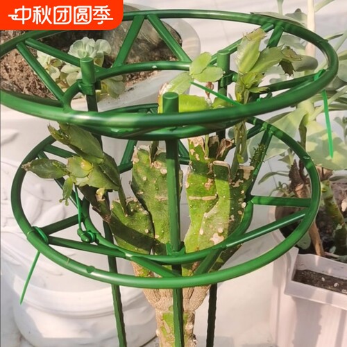 塑料多层花架通用|超2000次加购
