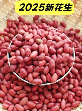 东北四粒红花生米老品种红皮花生2025年新货颗粒饱满脱壳花生仁