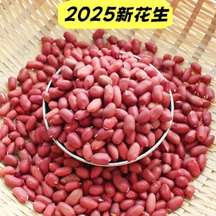 东北四粒红花生米老品种红皮花生2025年新货颗粒饱满脱壳花生仁