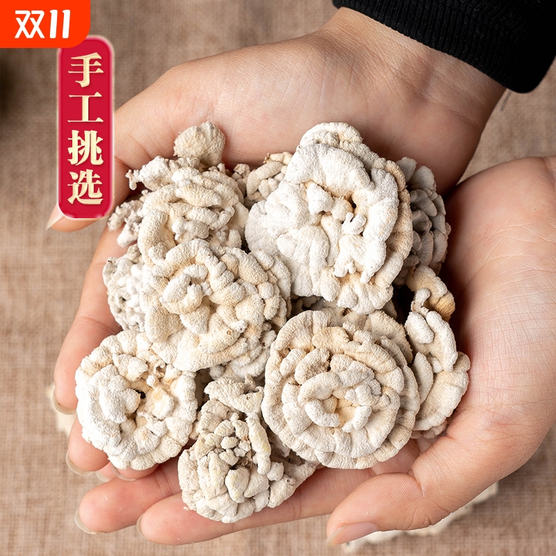 云南特产白参菌干货鸡冠菌裂褶菌白花白参沙参树花云南非野生菌