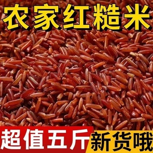 红香米5斤装红糙米农家自种红大米红粳米五谷杂粮低脂代餐主食