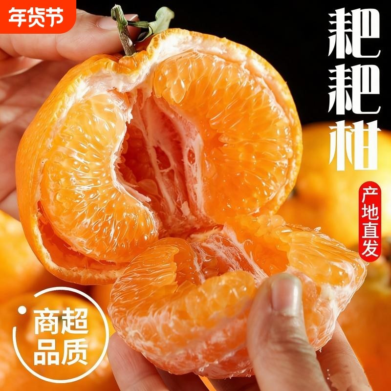 四川正宗粑粑柑新鲜橘子孕妇时令水果大果蜜橘爆甜多汁现摘发,水产肉类/新鲜蔬果/熟食,桔子,淘宝优惠券,粉丝福利购,淘宝优惠卷