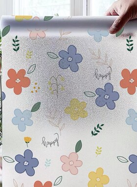 窗户贴纸静电客厅卧室3d浮雕窗贴透光不透明阳台装饰贴膜遮光防水