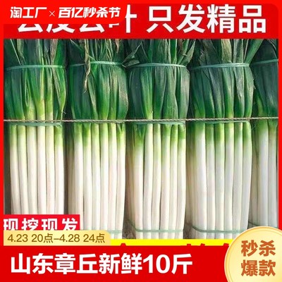 山东章丘大葱新鲜10斤特级正宗铁杆大葱特产甜脆小葱5斤蔬菜葱头