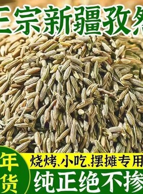 2026年新疆孜然粒特级孜然烧烤撒料香料腌料调味料商用批发家用